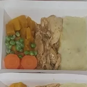 016a) Frango desfiado ao molho (Fitnnes)