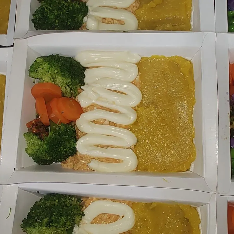 7) Frango Desfiado com Requeijão (Lowcarb)
