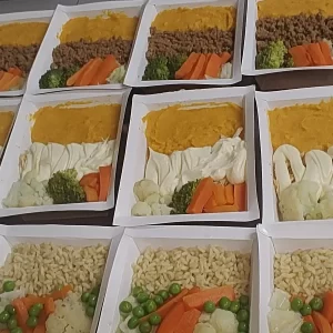 KIT LOWCARB TOP 15